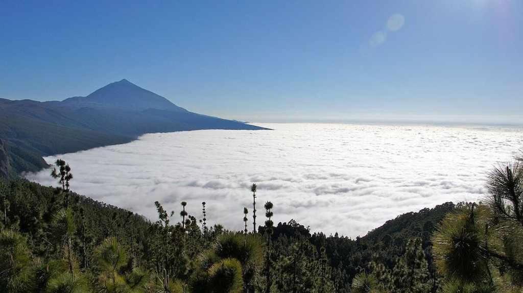 El Paraiso En Los Gigantes Santiago del Teide Eksteriør billede