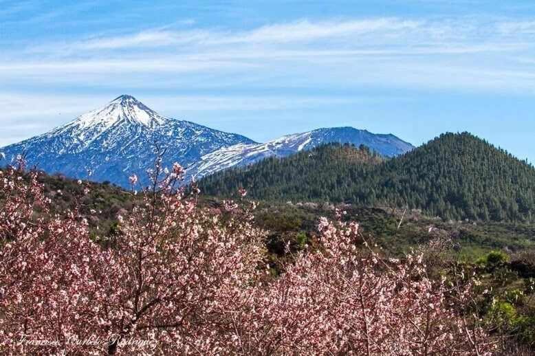 El Paraiso En Los Gigantes Santiago del Teide Eksteriør billede